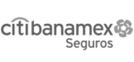 Citi Seguros