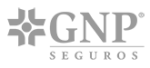 GNP